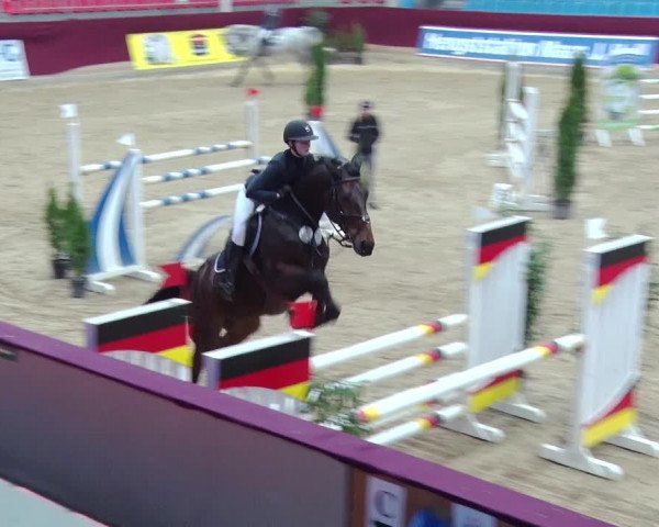 Reitturnier Neustadt/Dosse 2018