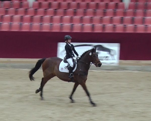 Reitturnier Neustadt/Dosse 2018