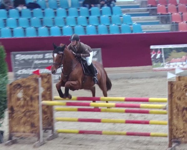 Reitturnier Neustadt/Dosse 2018