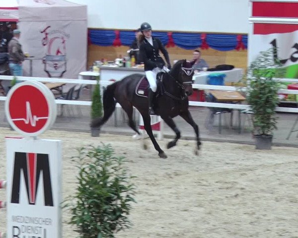 Reitturnier Neustadt/Dosse 2018