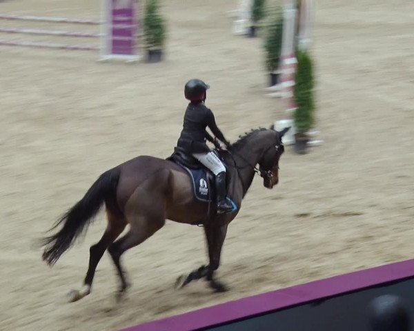 Reitturnier Neustadt/Dosse 2018