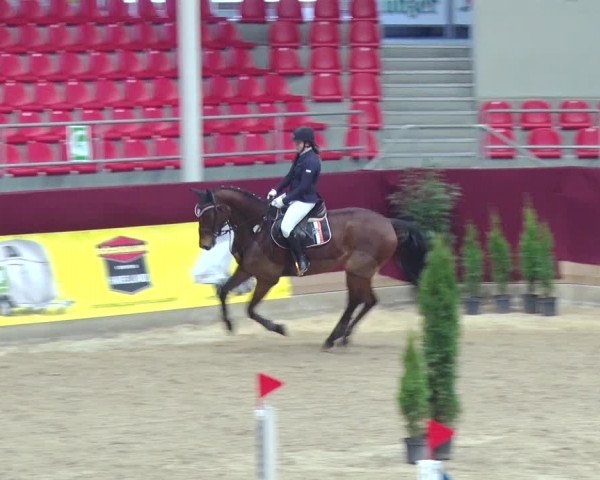 Reitturnier Neustadt/Dosse 2018