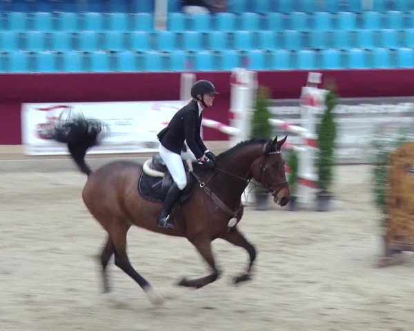 Reitturnier Neustadt/Dosse 2018