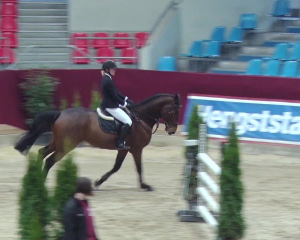 Reitturnier Neustadt/Dosse 2018
