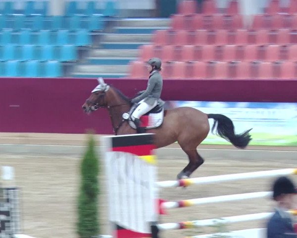 Reitturnier Neustadt/Dosse 2018