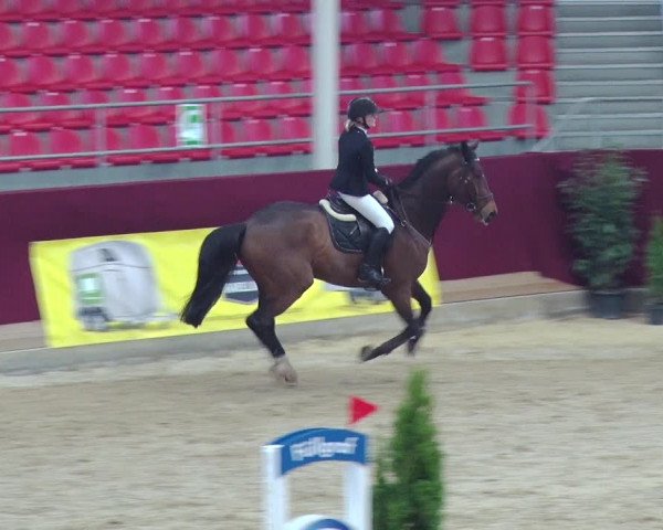 Reitturnier Neustadt/Dosse 2018