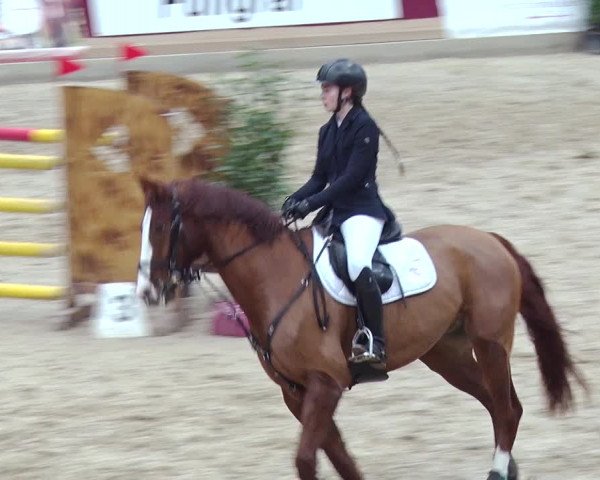 Reitturnier Neustadt/Dosse 2018