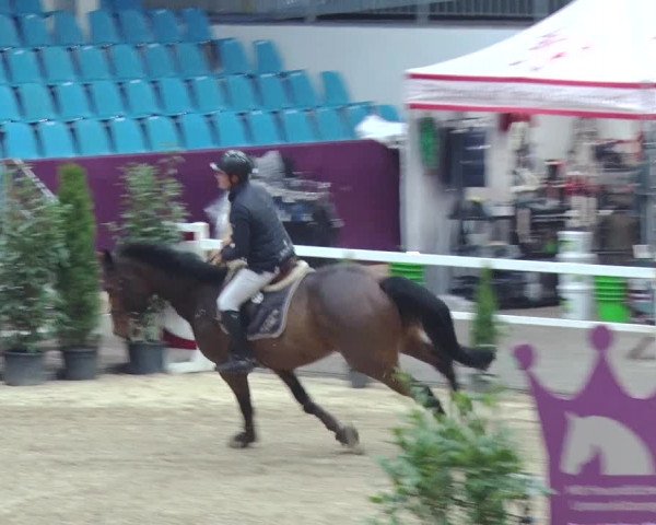 Reitturnier Neustadt/Dosse 2018