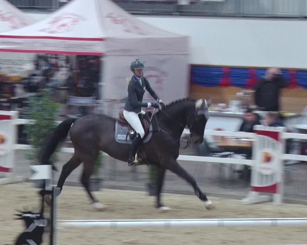 Reitturnier Neustadt/Dosse 2018