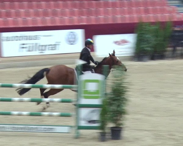 Reitturnier Neustadt/Dosse 2018