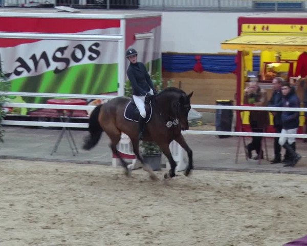 Reitturnier Neustadt/Dosse 2018