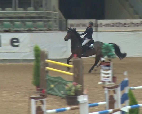 Reitturnier Kreuth 2018
