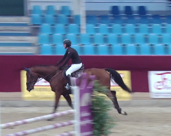 Reitturnier Neustadt/Dosse 2018