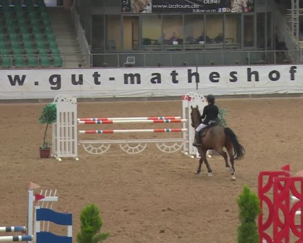 Reitturnier Kreuth 2018
