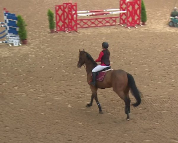 Reitturnier Kreuth 2018