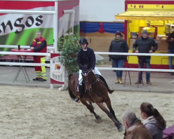 Reitturnier Neustadt/Dosse 2018
