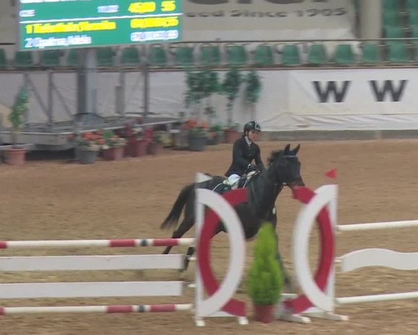 Reitturnier Kreuth 2018