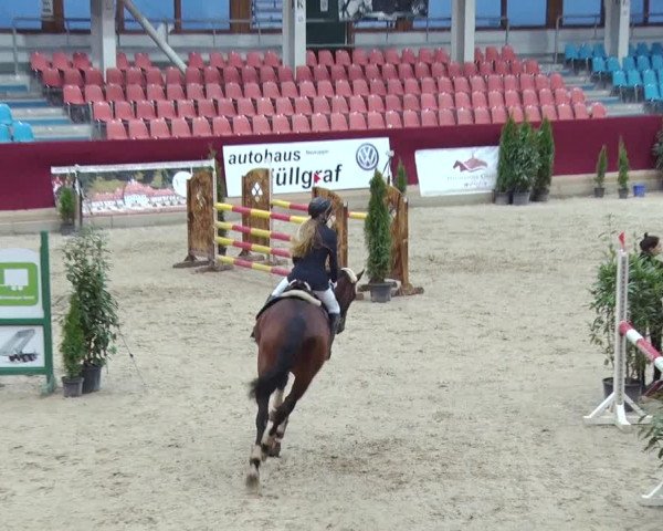 Reitturnier Neustadt/Dosse 2018