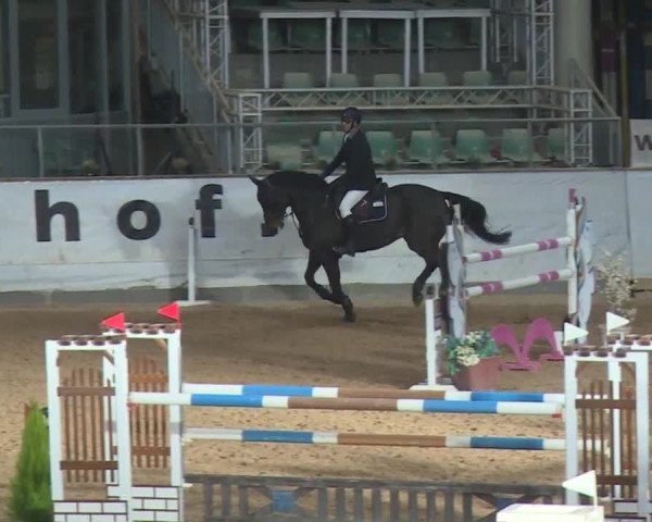 Reitturnier Kreuth 2018