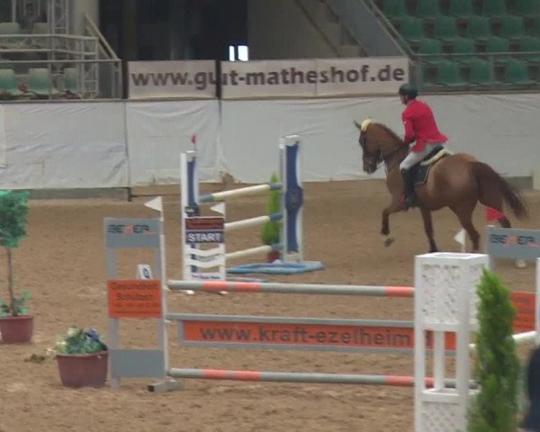 Reitturnier Kreuth 2018