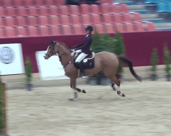 Reitturnier Neustadt/Dosse 2018