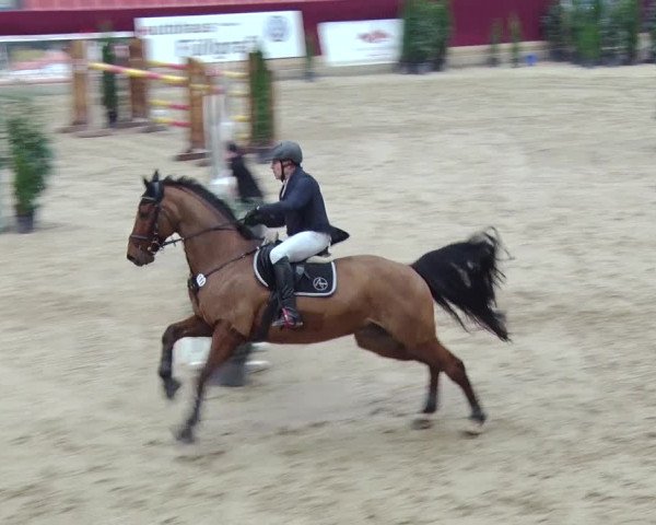 Reitturnier Neustadt/Dosse 2018