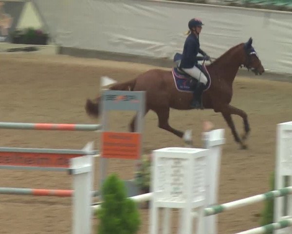 Reitturnier Kreuth 2018