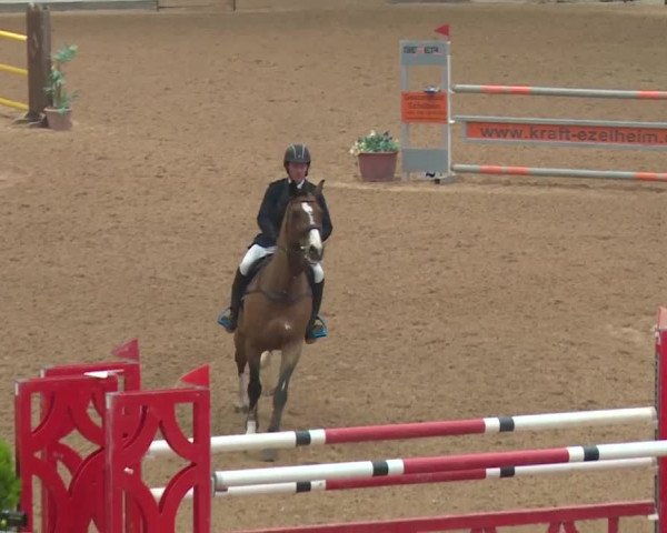 Reitturnier Kreuth 2018