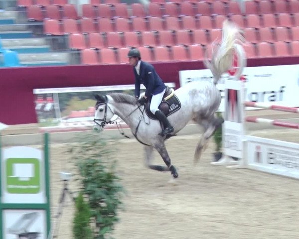 Reitturnier Neustadt/Dosse 2018