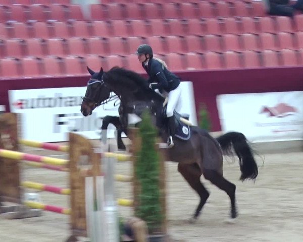 Reitturnier Neustadt/Dosse 2018