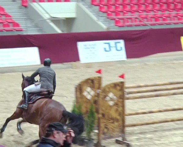 Reitturnier Neustadt/Dosse 2018