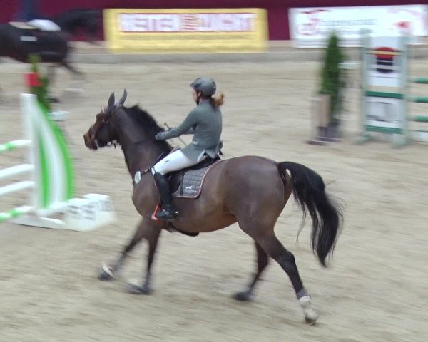 Reitturnier Neustadt/Dosse 2018