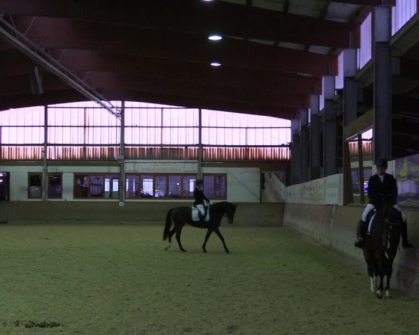 Reitturnier Appelhülsen 2018