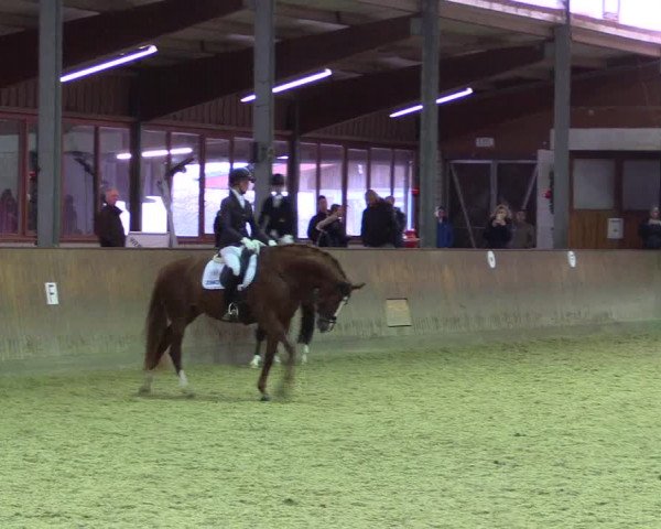 Reitturnier Appelhülsen 2018