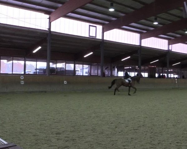 Reitturnier Appelhülsen 2018