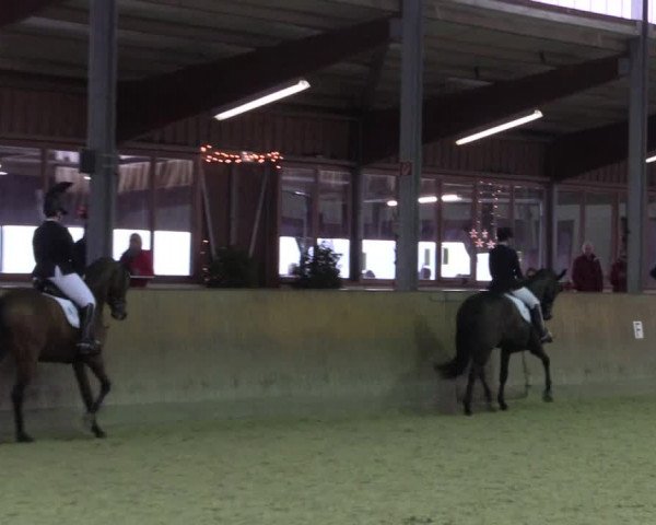 Reitturnier Appelhülsen 2018