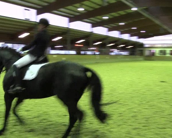 Reitturnier Appelhülsen 2018