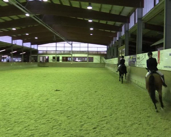 Reitturnier Appelhülsen 2018