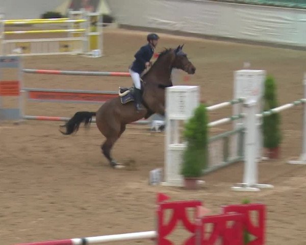 Reitturnier Kreuth 2018