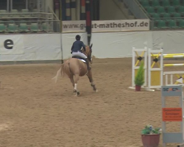 Reitturnier Kreuth 2018