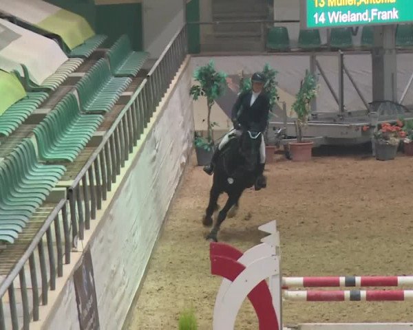 Reitturnier Kreuth 2018