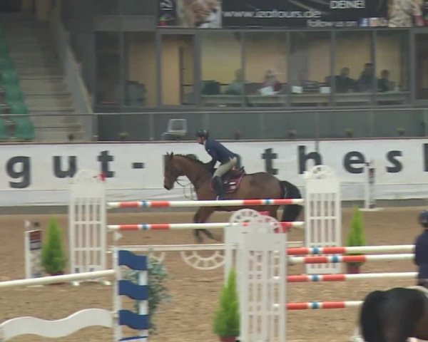 Reitturnier Kreuth 2018