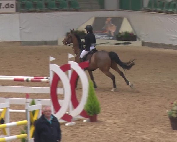 Reitturnier Kreuth 2018