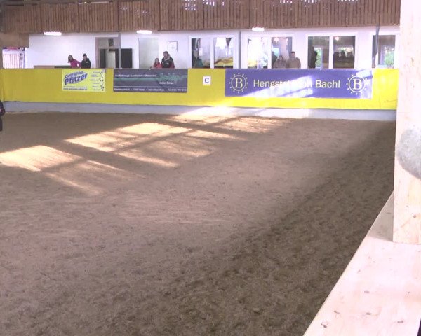 Reitturnier Ellwangen-Röhlingen 2018