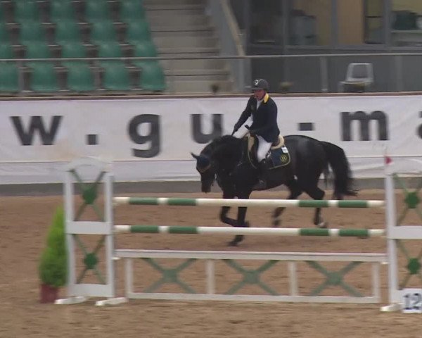 Reitturnier Kreuth 2018