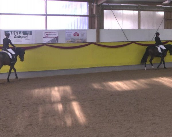 Reitturnier Ellwangen-Röhlingen 2018