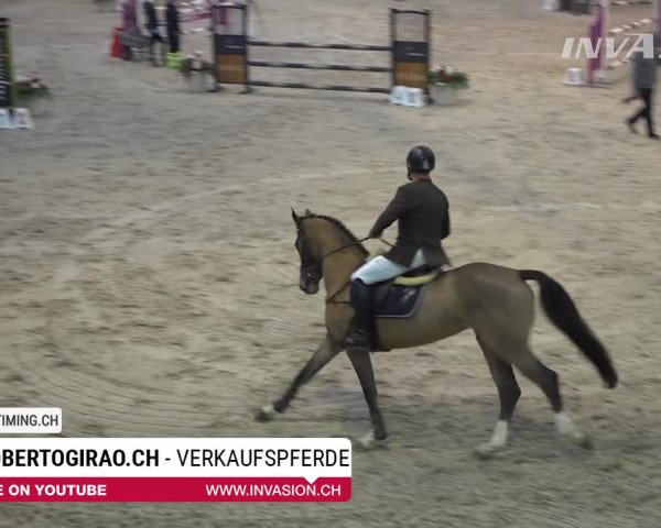 SunDayCup Oberriet 2018