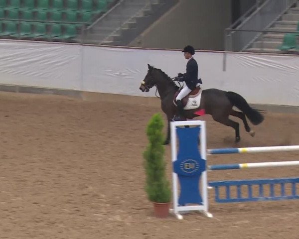 Reitturnier Kreuth 2018