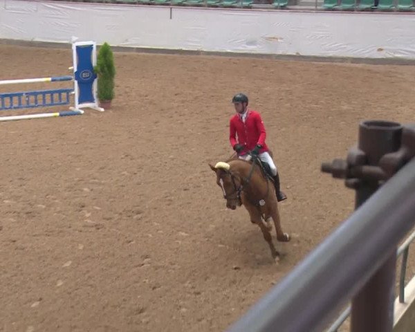 Reitturnier Kreuth 2018