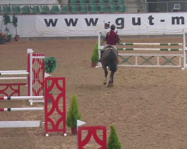 Reitturnier Kreuth 2018